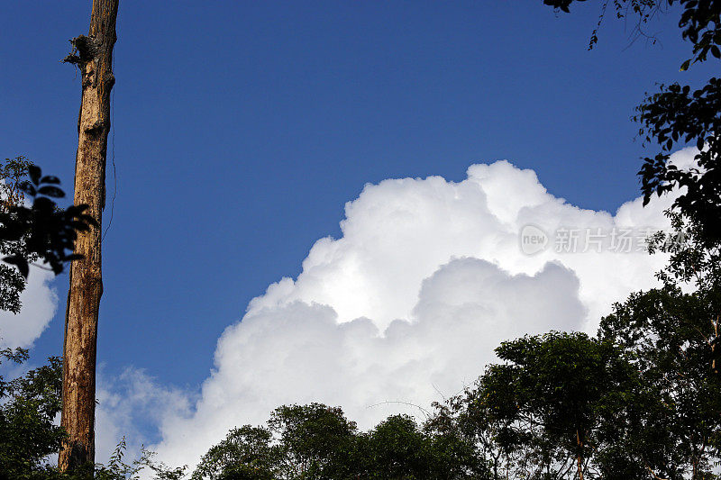 印度尼西亚:热带雨林上空令人印象深刻的天空