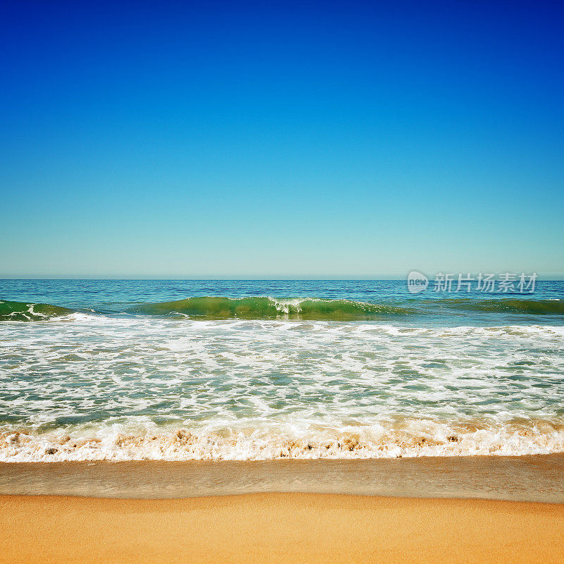 海滩及热带海