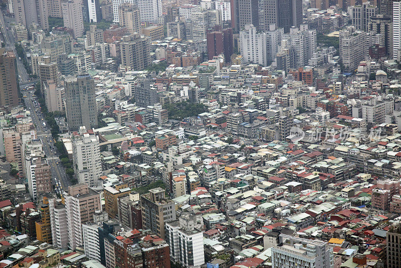 台北市蒜薹发育