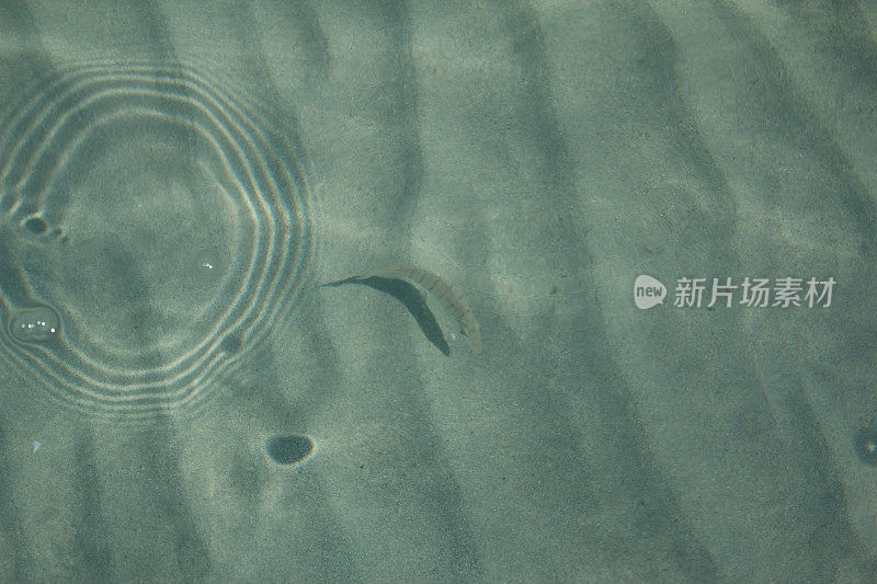 海里的圆形波浪