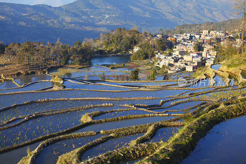 元阳梯田