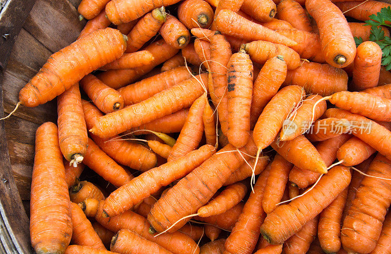 市场新鲜的有机胡萝卜在蒲式耳篮子(特写)
