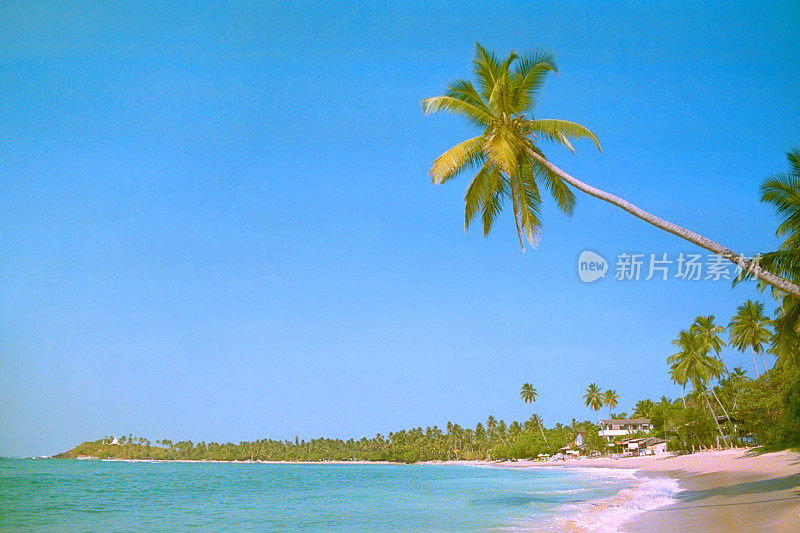 乌纳瓦图纳棕榈滩-斯里兰卡