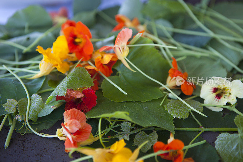 可食用的花，用于装饰美食