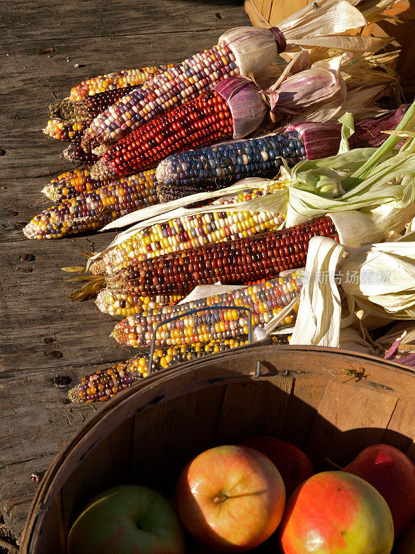秋季集市上的印第安玉米和苹果
