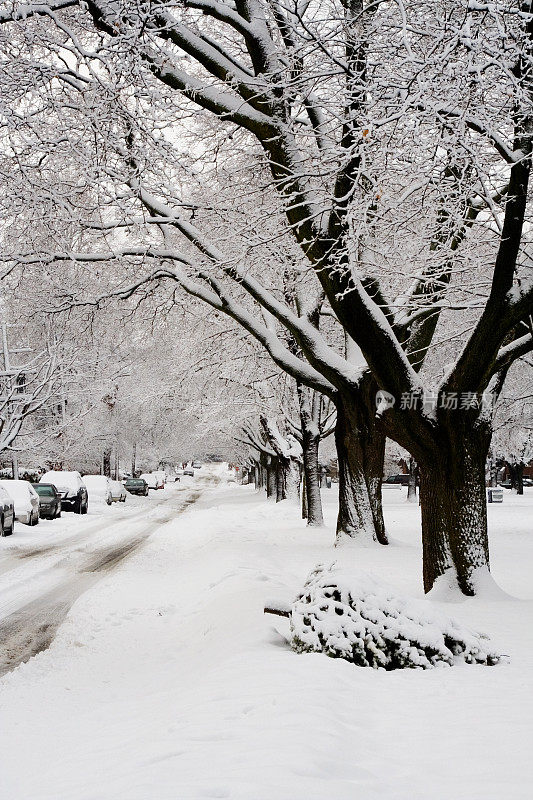 暴风雪在圣诞节后