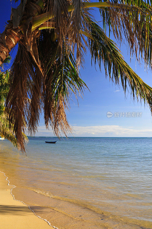热带海滩和椰子树(马达加斯加)