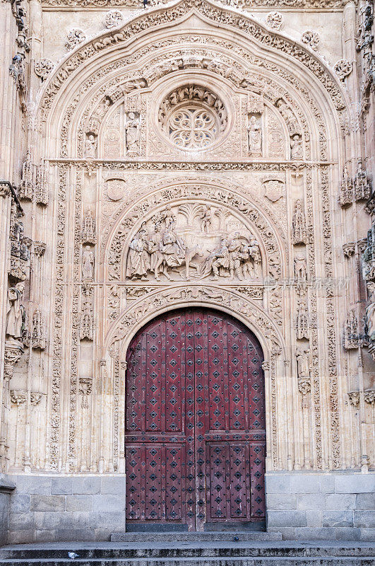 西班牙新萨拉曼卡大教堂的侧门。