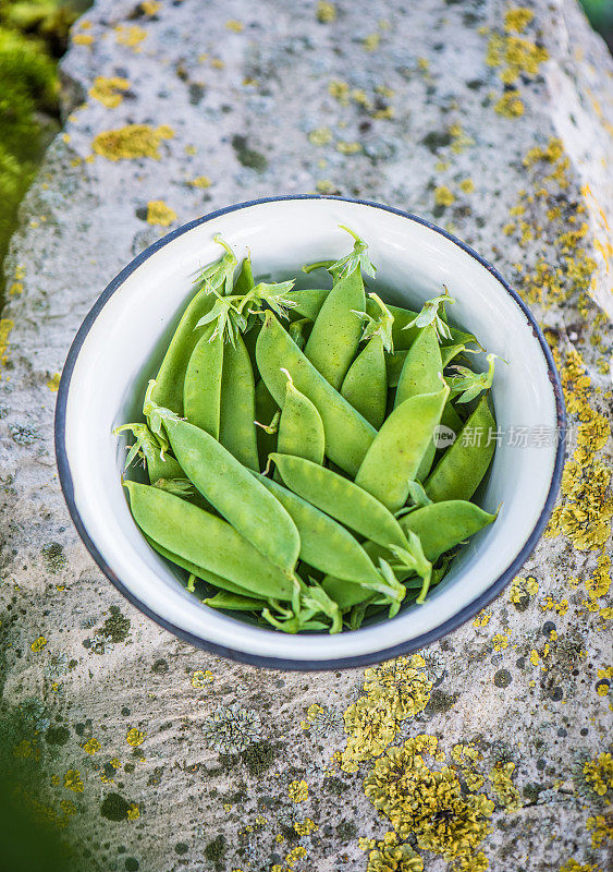 糖豌豆