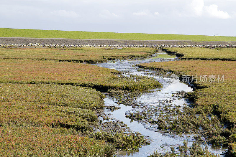 荷兰景观:盐沼中的水溪(Terschelling)