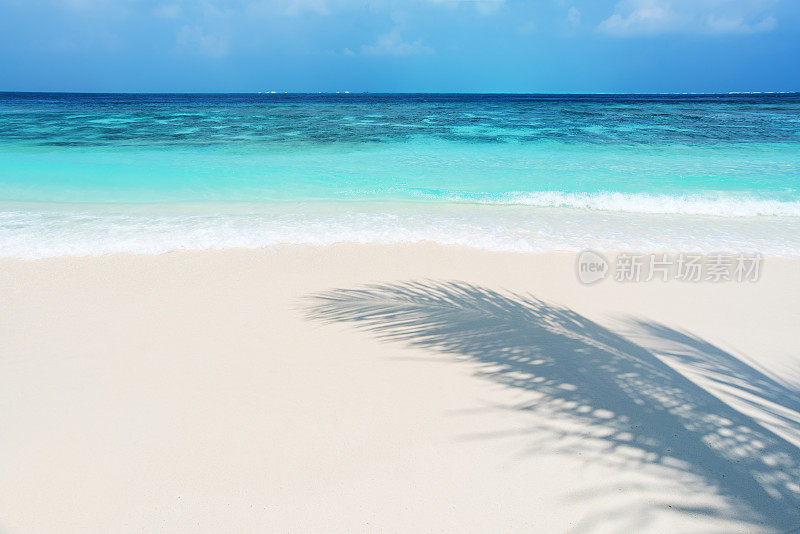 夏天海滩背景