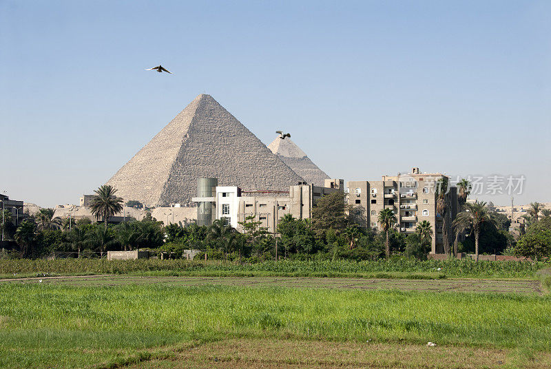 古埃及文化