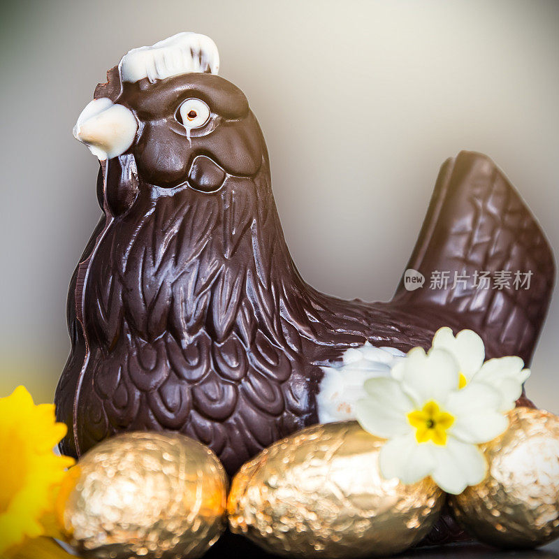 鸡和巧克力蛋用春天的鲜花来庆祝复活节