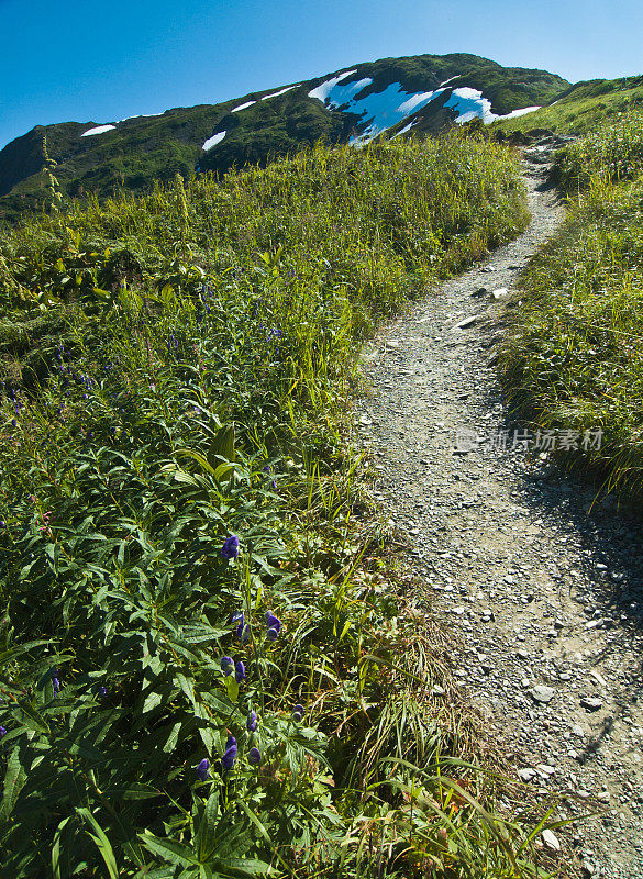 阿拉斯加山间的小路