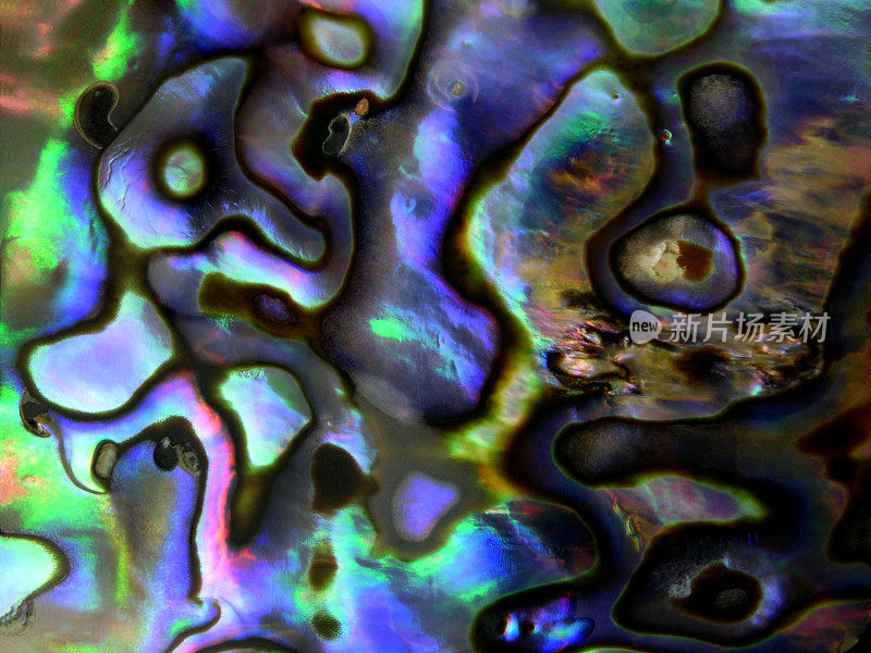 Background-Iridescent壳