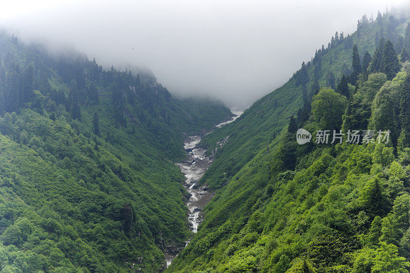 雾蒙蒙的瀑布在伊德高原的rize土耳其