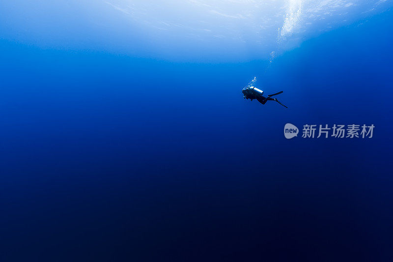 在法属波利尼西亚的野蓝深处潜水