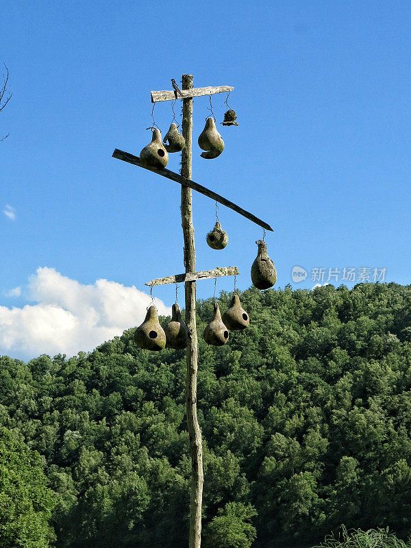 葫芦鸟屋悬挂在自制的木杆，山区景观