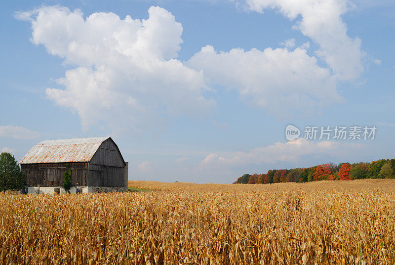 加拿大安大略省奥兰治村的瀑布风景区