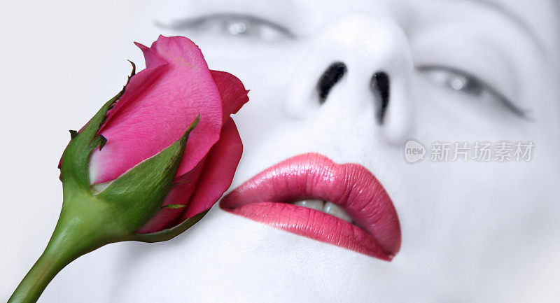 粉红色的玫瑰和嘴唇