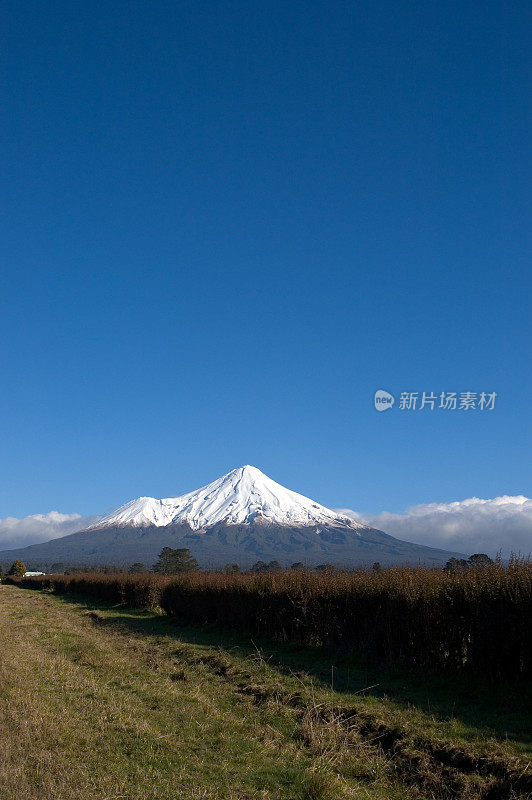 太tarnaki(埃格蒙特)