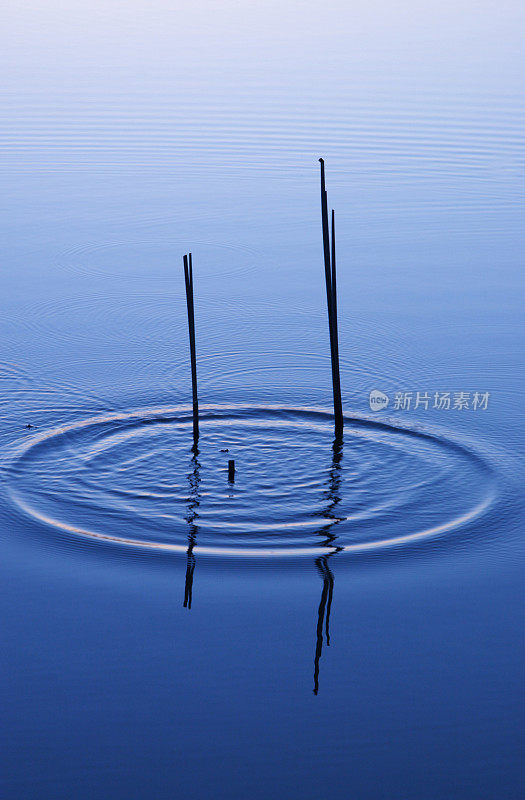 平静的水域