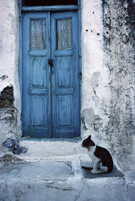 希腊帕罗斯，台阶上的猫和蓝门