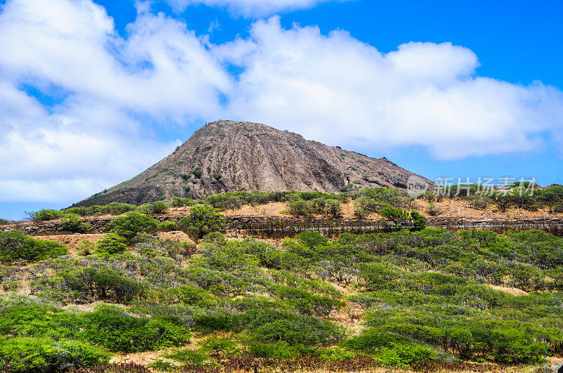 科科岬山