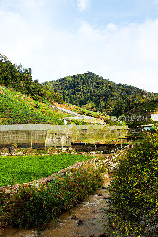 农场在河