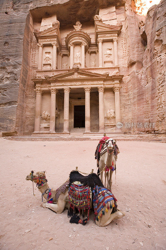 在约旦佩特拉的国库前有两头骆驼