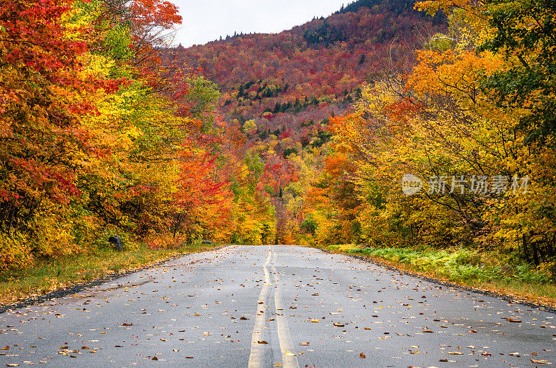 美丽的秋色沿着风景优美的山路