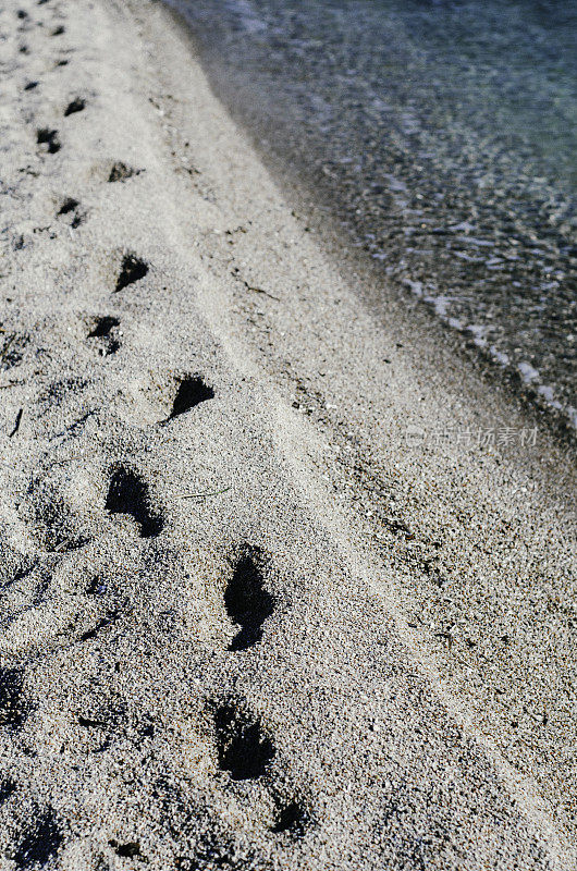 白色沙滩上的脚印