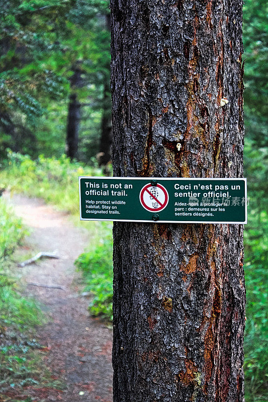 这不是森林里的正式路标