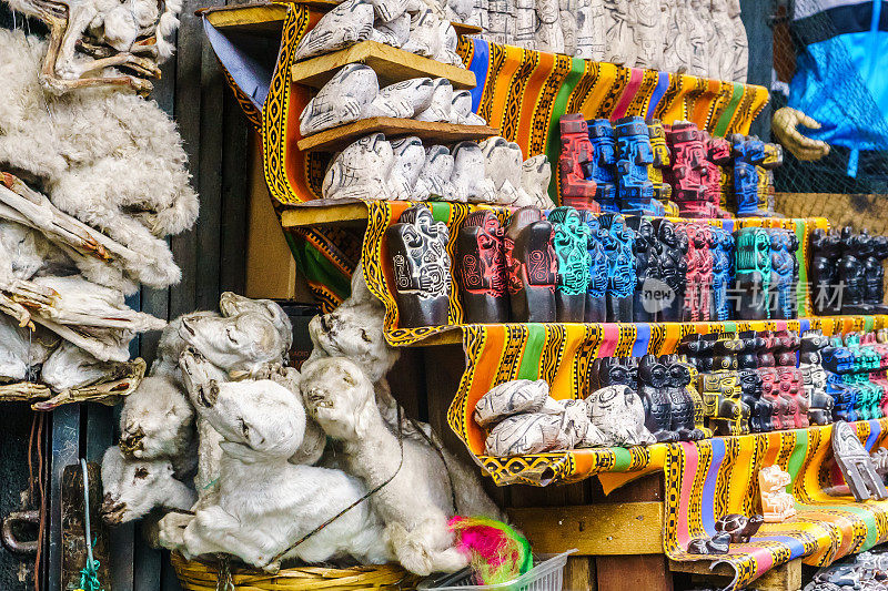 玻利维亚拉巴斯的巫术市场上有羊驼胎儿