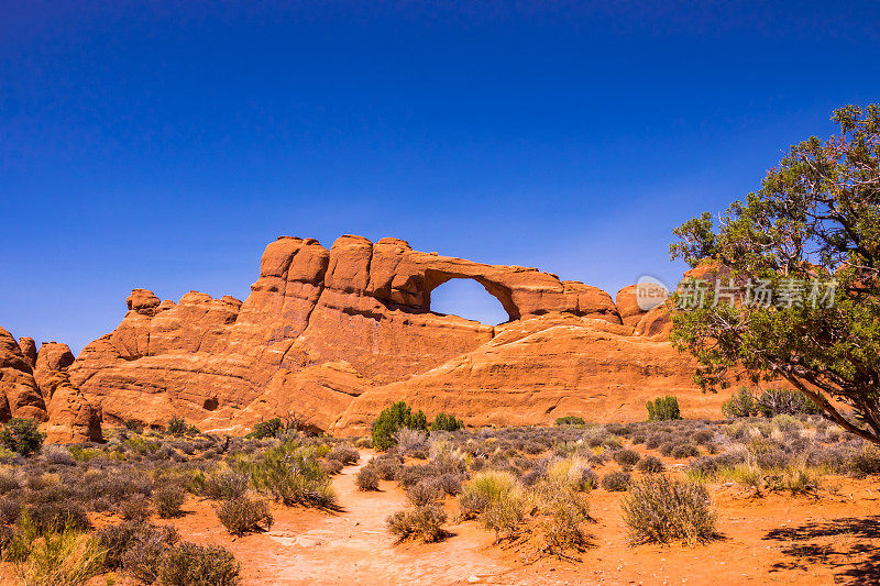 拱门国家公园的景观。摩押沙漠的天然石拱