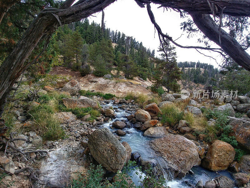 黄石溪流进入河流，峡谷，岩石，七英里洞径，怀俄明州