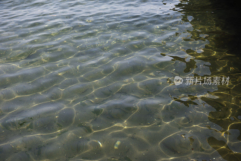 浅海的水面纹理背景