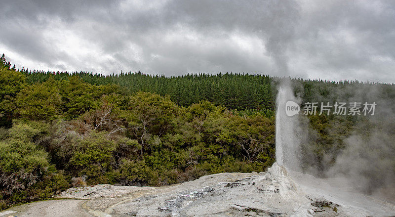 新西兰罗托鲁瓦的间歇泉