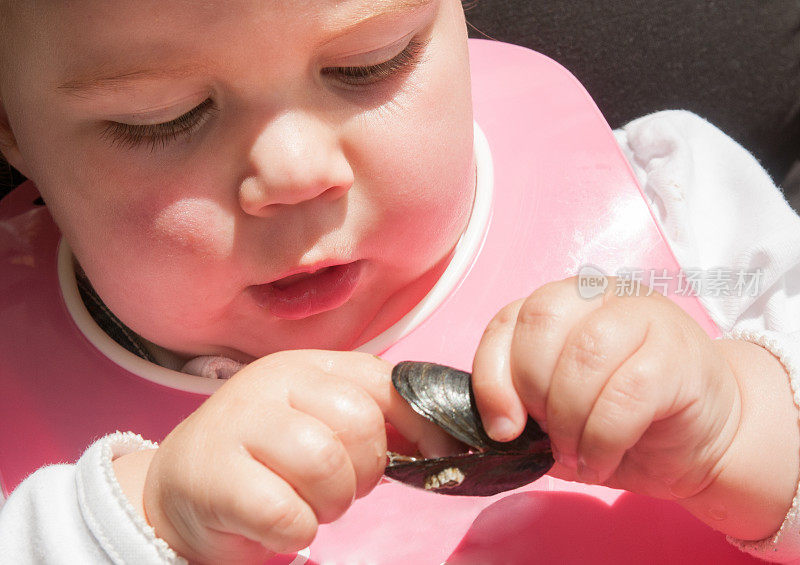 金发10个月大的女性戴着粉红色的婴儿围嘴，全神贯注地用手指吃贻贝