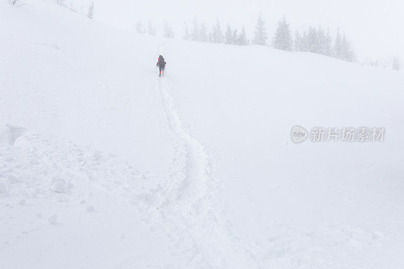 迷失在雪雾中