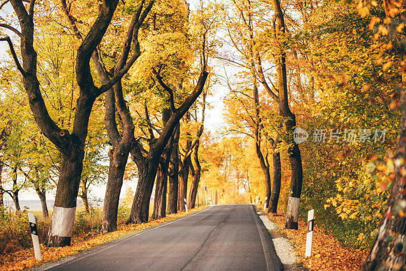 秋天的风景路