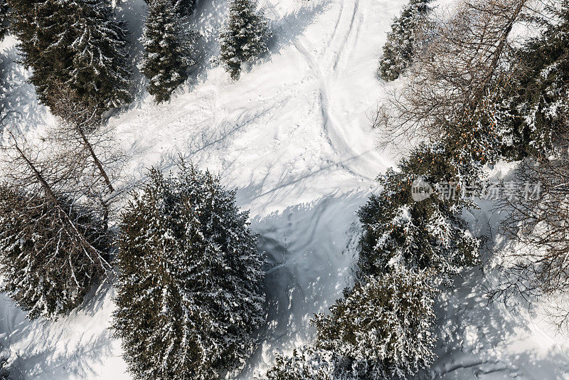 滑雪道远离森林中的斜坡