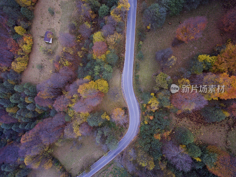 穿越秋天森林的道路-鸟瞰图