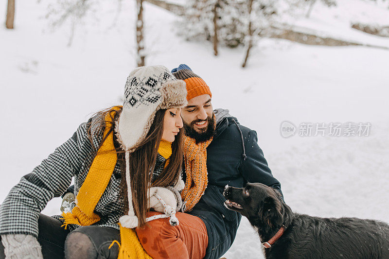 一对夫妇在雪中与狗玩耍