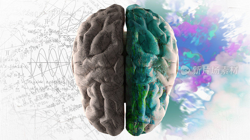 右半脑-创造力-分析能力