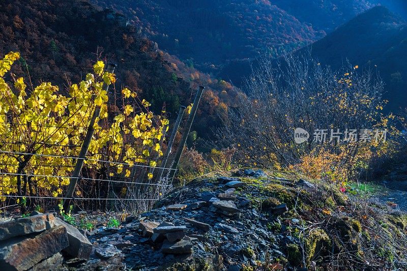 阿尔特纳的阿尔山谷