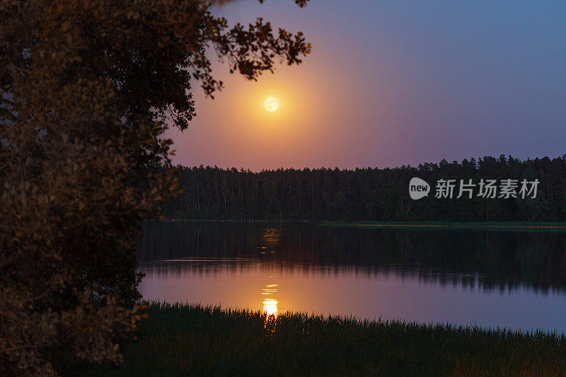 夜晚，月亮升起在平静的湖面上