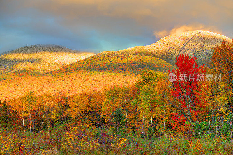 新罕布什尔州白山的秋叶