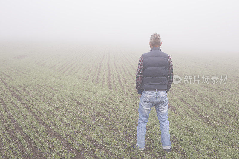 晚秋时节，一名成年的农民在他的麦苗农田里耕种，农田被雾笼罩着