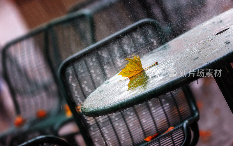 多雨的秋天的一天